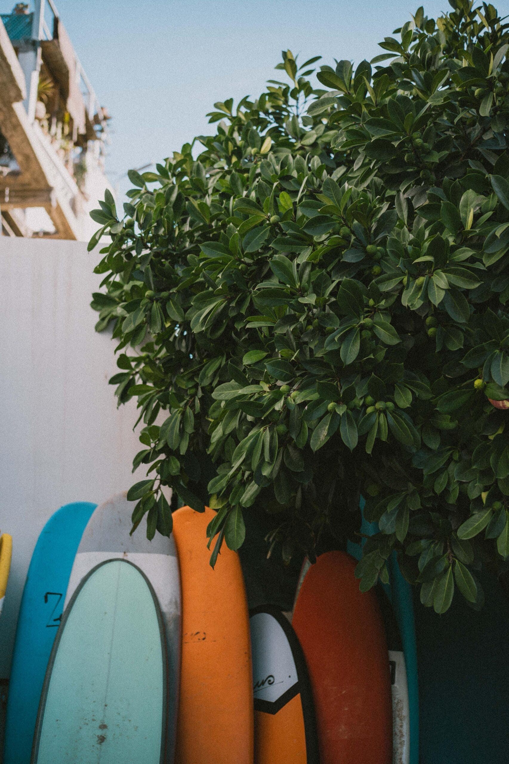 Boards resting between sessions