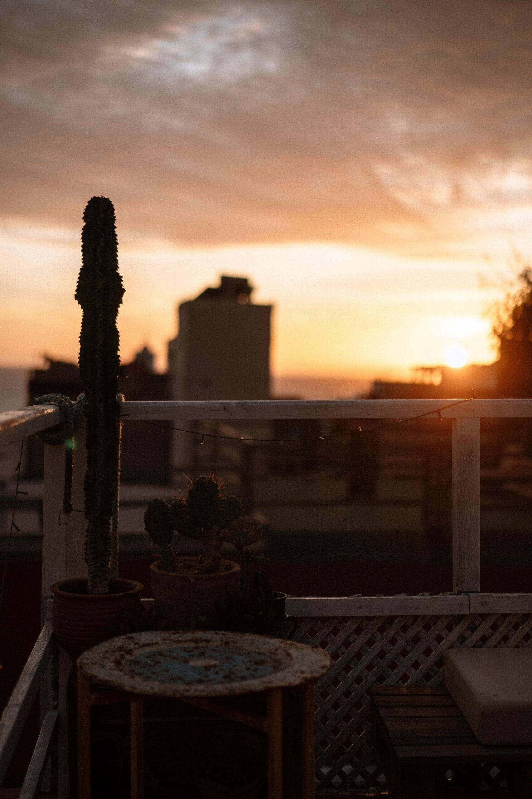 Golden hour at the house